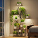 63" Indoor Plant Stand with Grow Lights