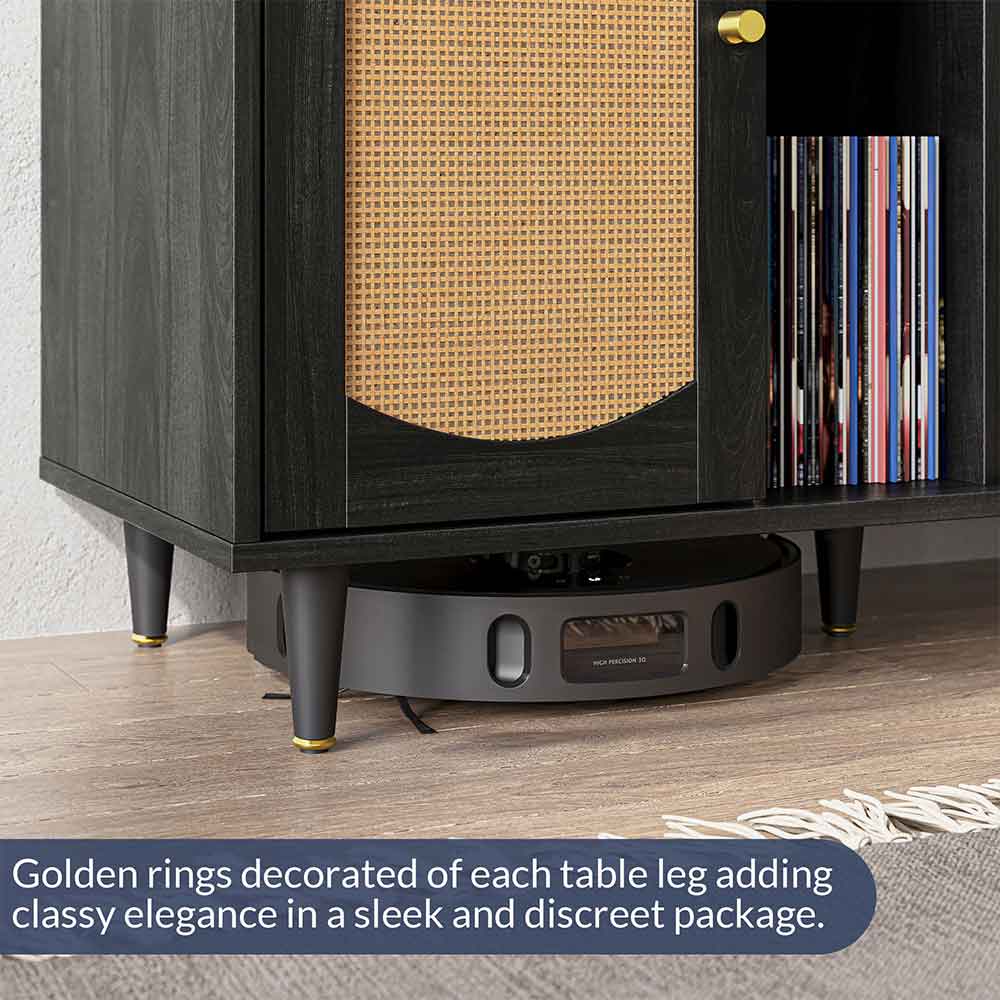 38" Rattan Door Record Player Stand